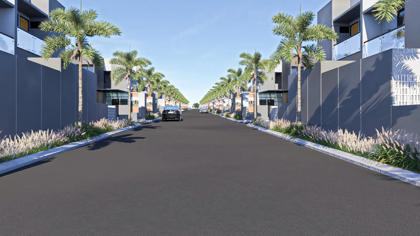 Boulevard pohon palem